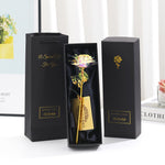 Bunte weiße Blume Schwarze Box