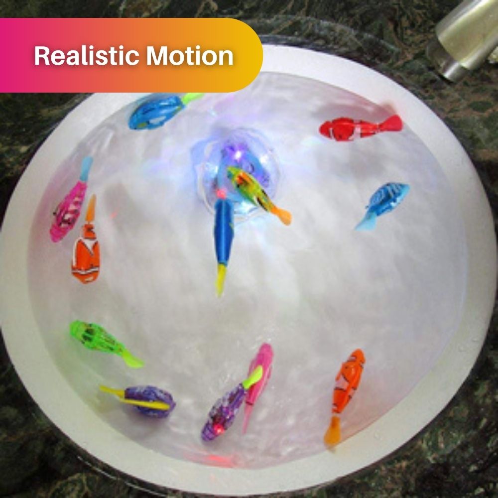 Detailansicht des interaktiven Fisch-Katzenspielzeugs, bereit für den nächsten Spielspaß.