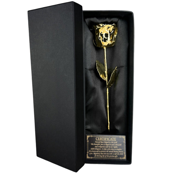 Echte, konservierte Goldrose mit luxuriöser Beschichtung, ein ewiges Blumengeschenk für Jubiläum oder Valentinstag.