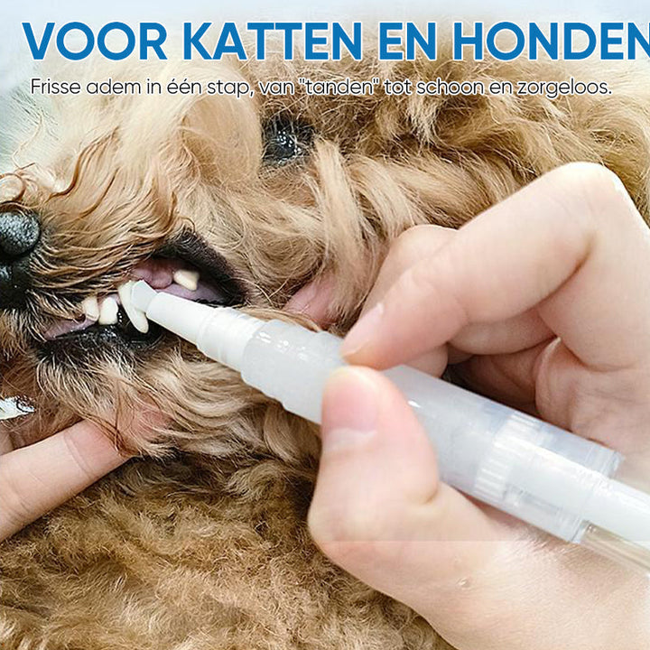 Wichtiger Bestandteil der Tiergesundheit: der Zahnpflege-Stift für saubere Zähne & gesunden Atem.