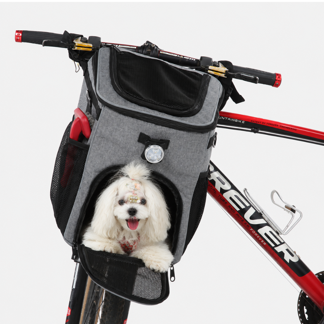 Sicherer Hundefahrradkorb für Lenker, bietet Ihrem kleinen Vierbeiner eine gute Sicht.