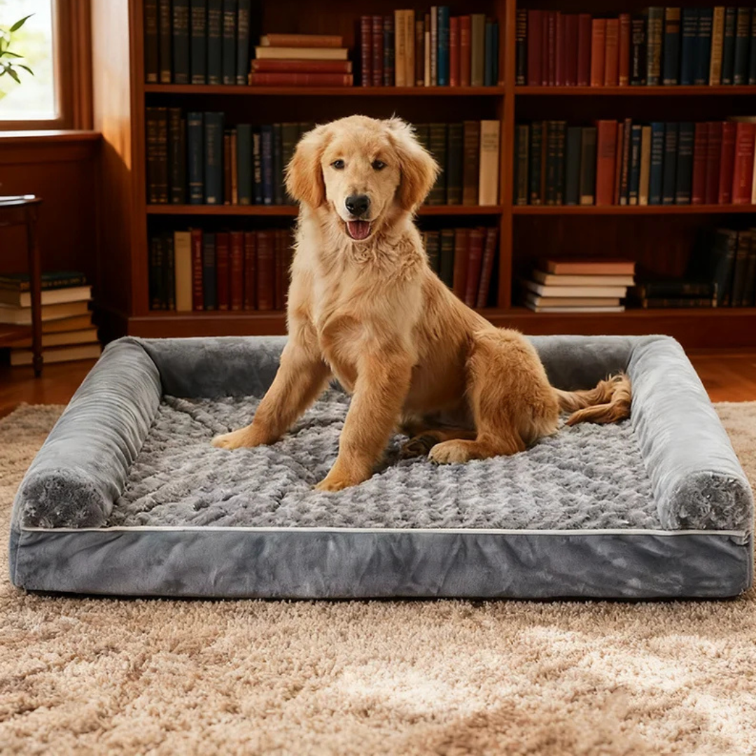 Orthopädisches Hundebett für grosse Hunde in Grau-Lila. Gemütlicher, waschbarer Schlafplatz für Haustiere.