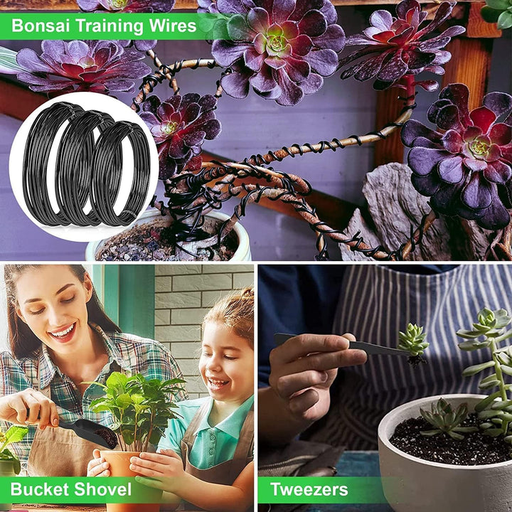 Komplettes Bonsai-Set für professionellen Formschnitt und Pflege. Ideal für erfahrene Gärtner und engagierte Anfänger.
