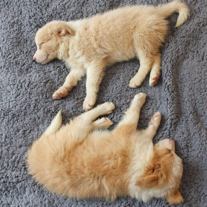 Wärmende SnuggleFur Fleece-Welpendecke für gemütliche Stunden im Hundebett, maschinenwaschbar.