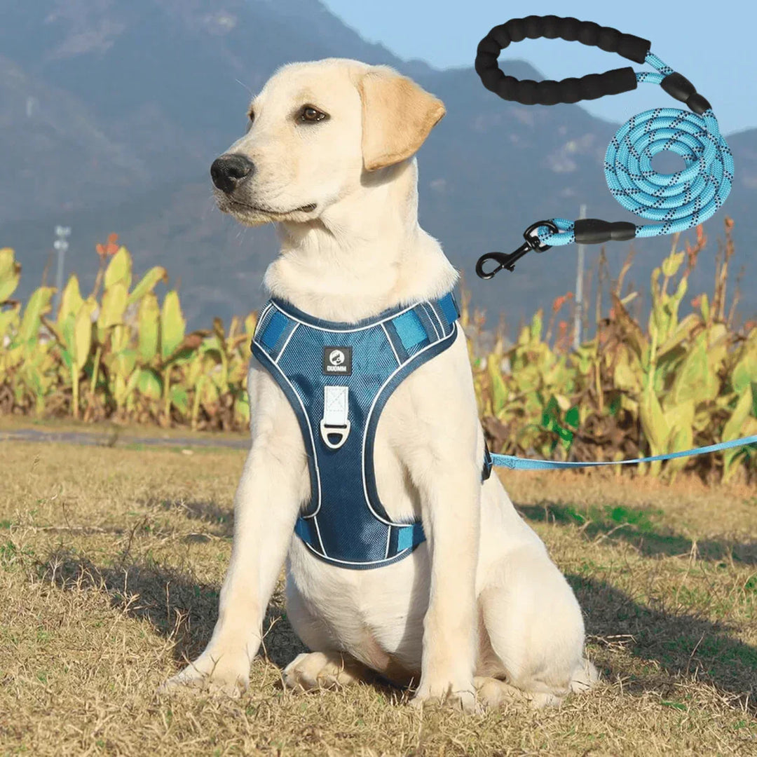Gepolstertes Anti-Zieh Hundegeschirr in Blau mit Komfortpolsterung für entspannte Spaziergänge. PullFree.