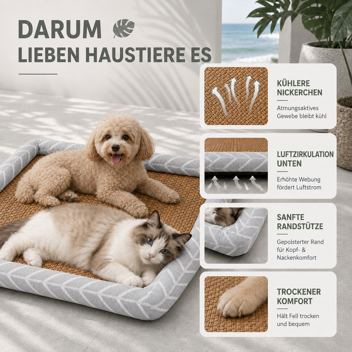 Komfortabler Ruheplatz: Kühlmatte für Hunde & Katzen, hält sie entspannt & kühl im Sommer.