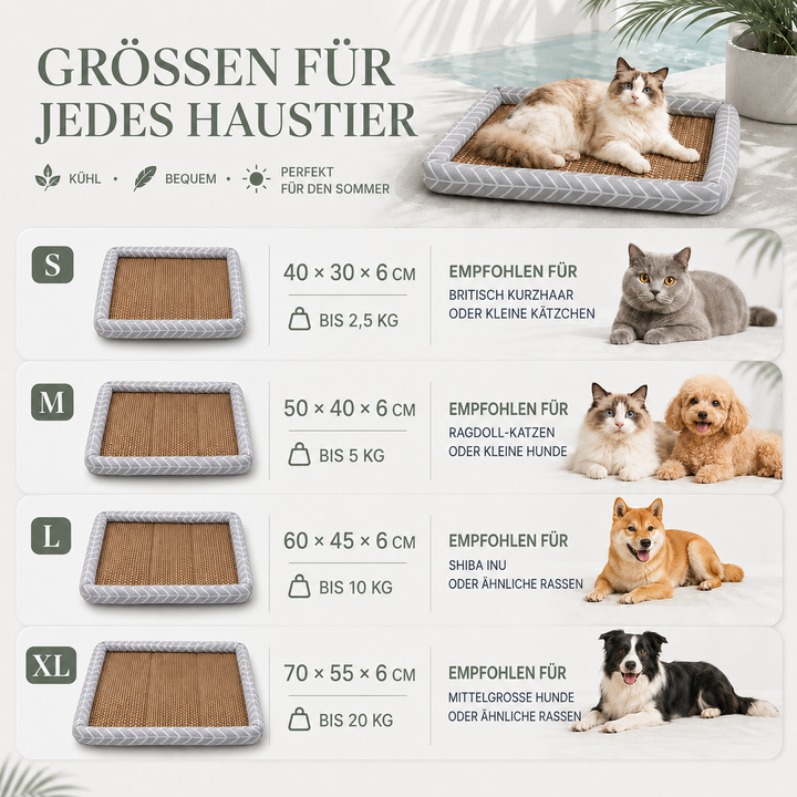 Kühlendes Katzenbett, atmungsaktiv und weich, ideal als gemütlicher Ruheplatz für den Sommer.