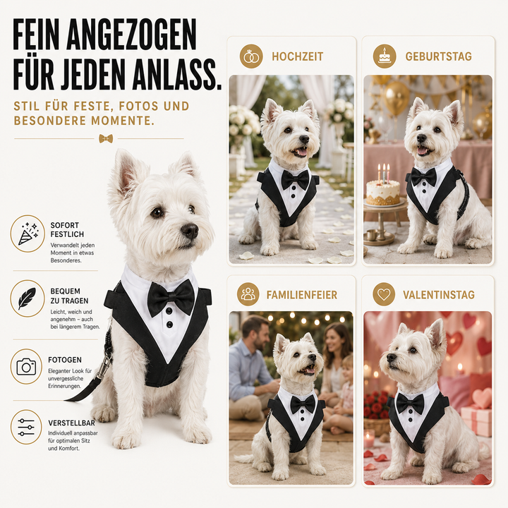 Komfortables Hundegeschirr im Smoking-Design, mit schicker Fliege, für Events & Fotoshootings.