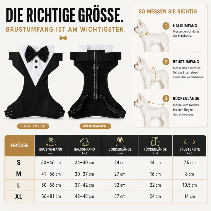 Hundezubehör: Smoking-Geschirr mit Fliege, festlich & stylisch für den Vierbeiner, schwarz.