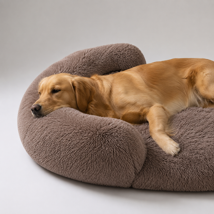 Großes orthopädisches Hundebett mit Eierschaum, waschbar, für große Hunderassen und ihre Gelenke.