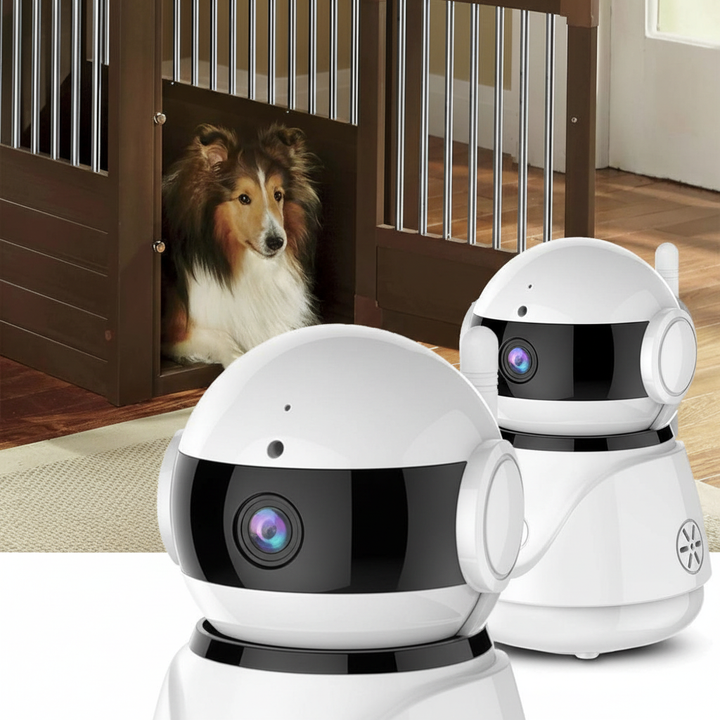 Sichere Tierüberwachung zu Hause: PanoWatchr WLAN Kamera für 360° Ansicht und Haus Sicherheit.
