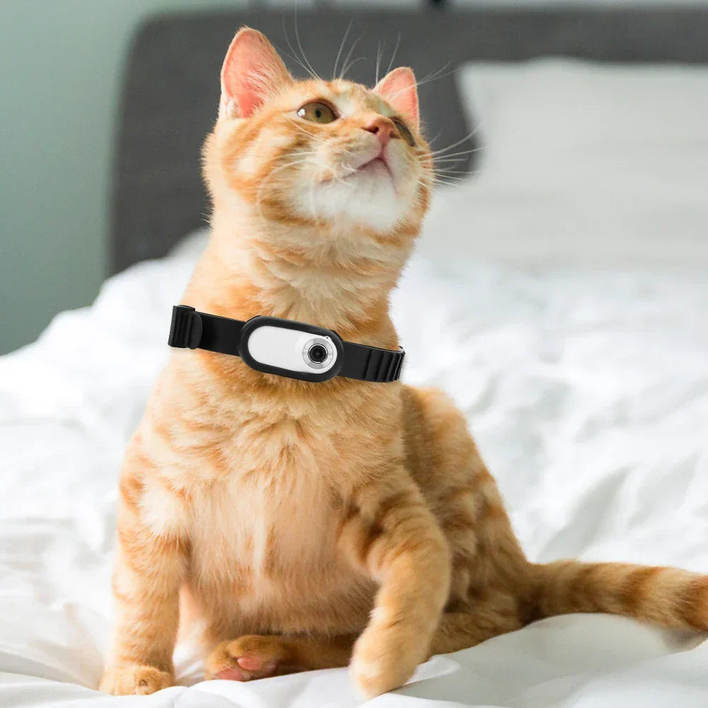 Neugierige Katze vor PetVue Katzenkamera. Drehbare HD Überwachung für Haustiere & smartes Zuhause.