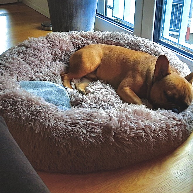 Das Original Hundebett Wolke 7 für Premium-Kuschelkomfort. Flauschiges, waschbares Donutbett.