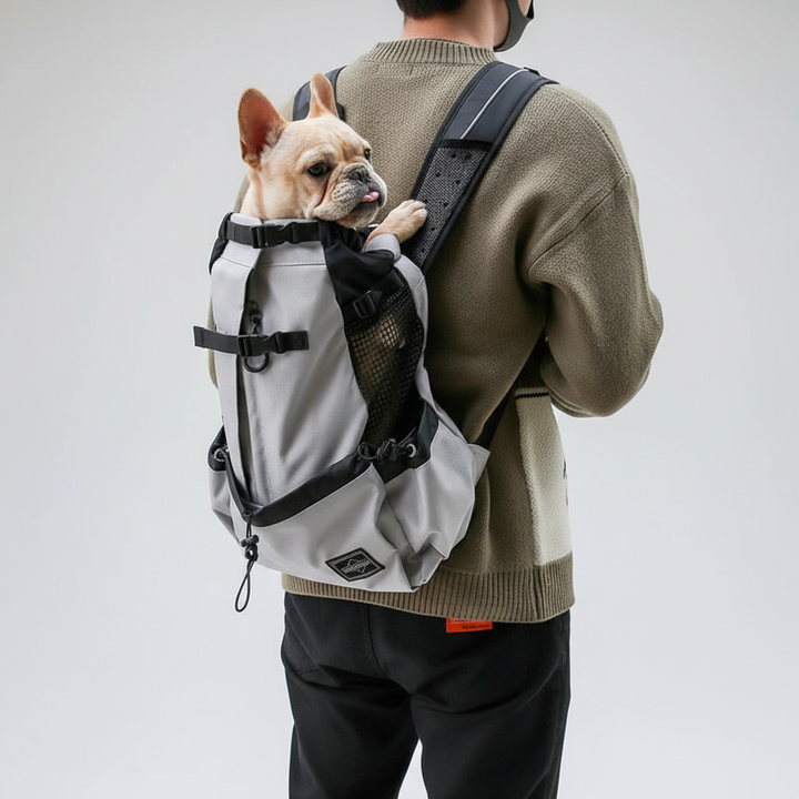 Hunderucksack CompanionPack unterwegs: Hund genießt sicheren Ausblick bei Outdoor-Abenteuern im Reiserucksack.