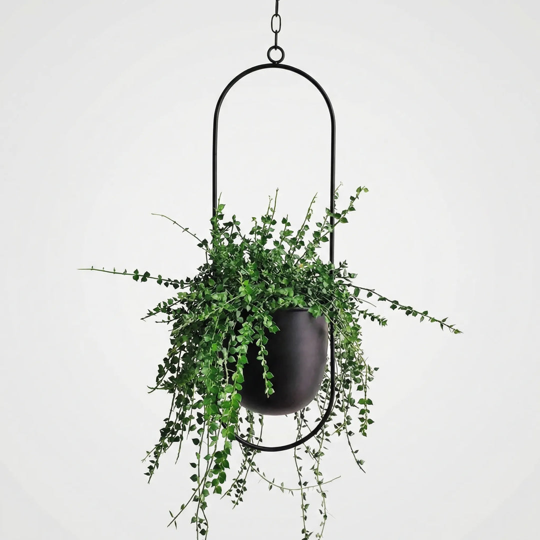 Stilvoller hängender Blumentopf für Pflanzen mit einzigartigem geometrischem Muster und Schwebeeffekt.