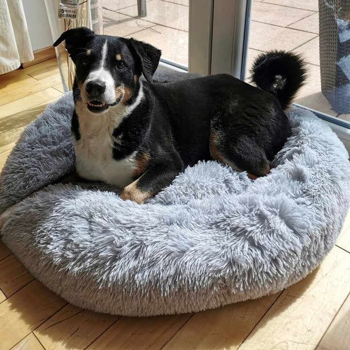 Einladendes Kuschelbett Wolke 7, reduziert Stress und fördert Entspannung. Perfekt für Ihren Vierbeiner.