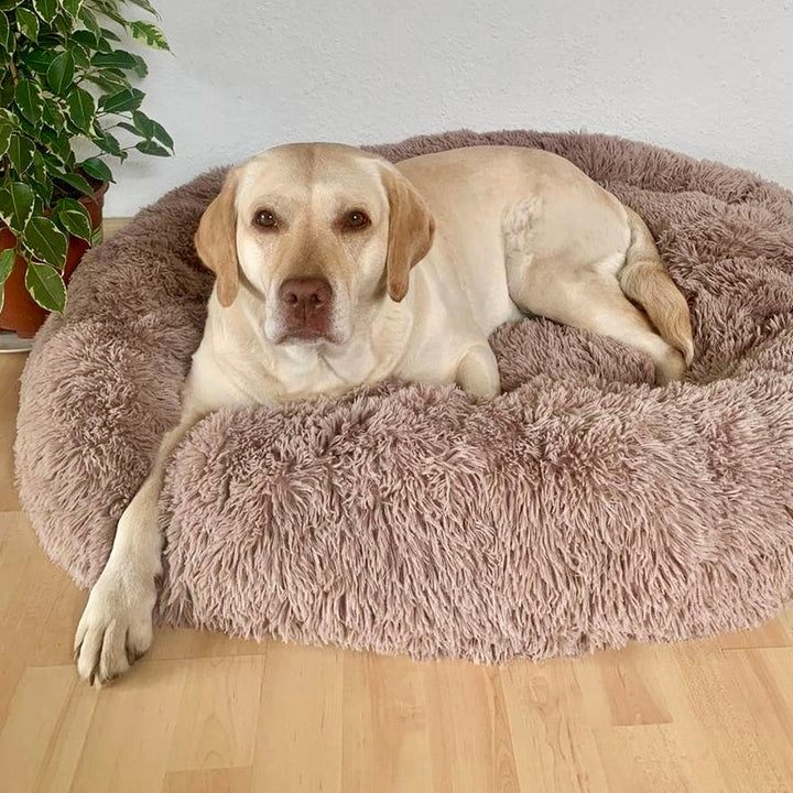 Luxuriöses Donutbett Wolke 7, super weich und flauschig. Ideal als Katzenbett oder Hundebett.