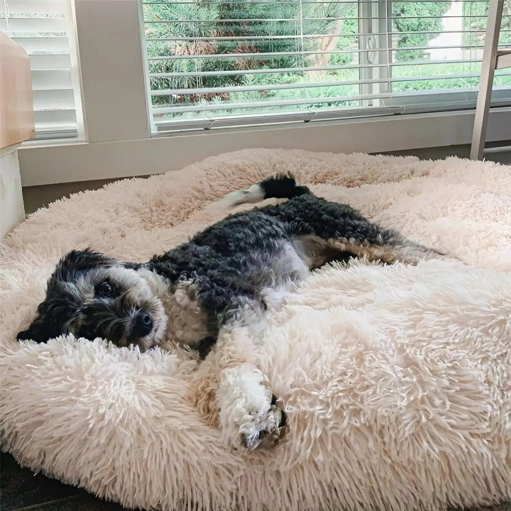Gemütliches Tierbett für Hunde & Katzen, weich & modern, ideal als Kuschelbett & entspannter Schlafplatz.