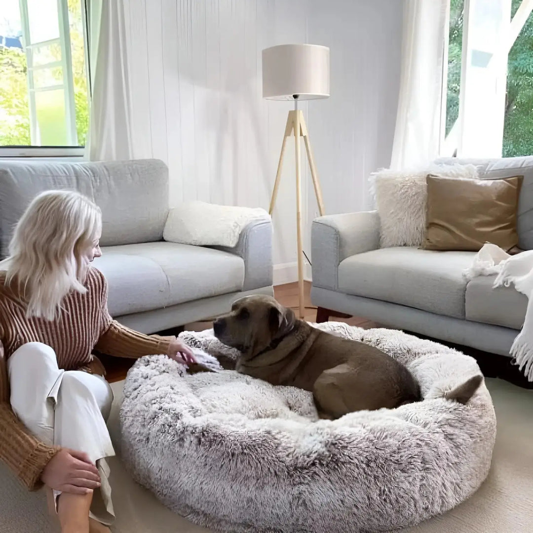 Sanftes Entspannungsbett für Hunde & Katzen, beruhigende Ruhezone für stressfreie Momente.