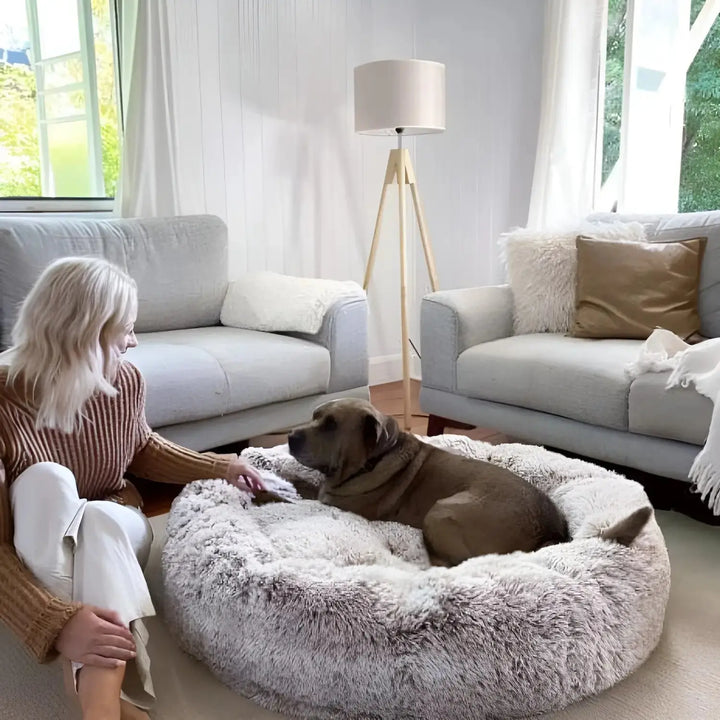 Sanftes Entspannungsbett für Hunde & Katzen, beruhigende Ruhezone für stressfreie Momente.