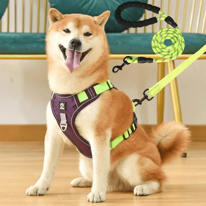 Verstellbares Welpengeschirr und Hundegeschirr, gepolstert, in Khaki, ideal für Training und tägliche Spaziergänge.
