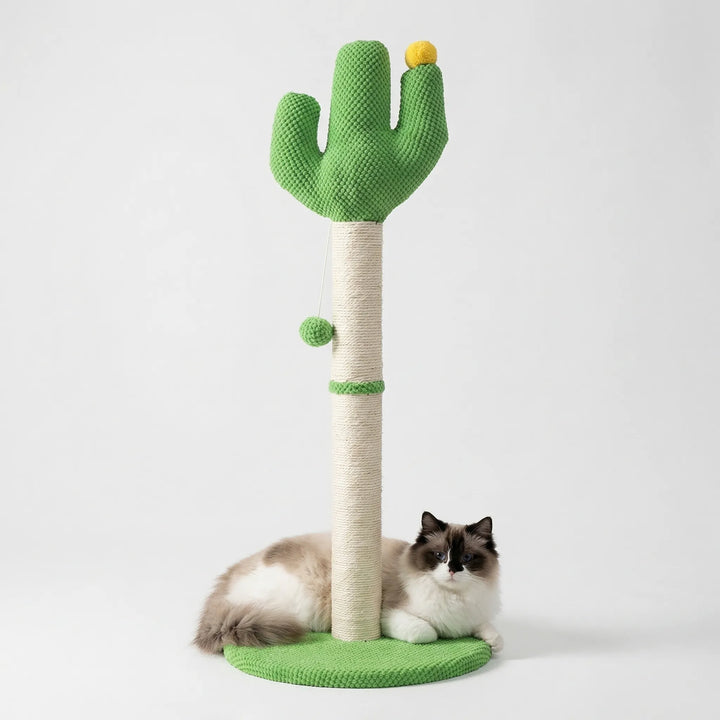 Robuster Kaktus Kratzbaum aus Sisal für Katzen, langlebiger Kratzstamm & spielerisches Katzenspielzeug.