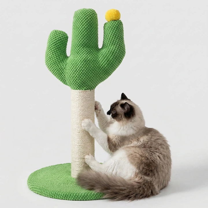 Stabiler Katzenkratzbaum in Kaktusform mit Spielball, Sisal-Kratzstamm & gemütlichen Liegeflächen.