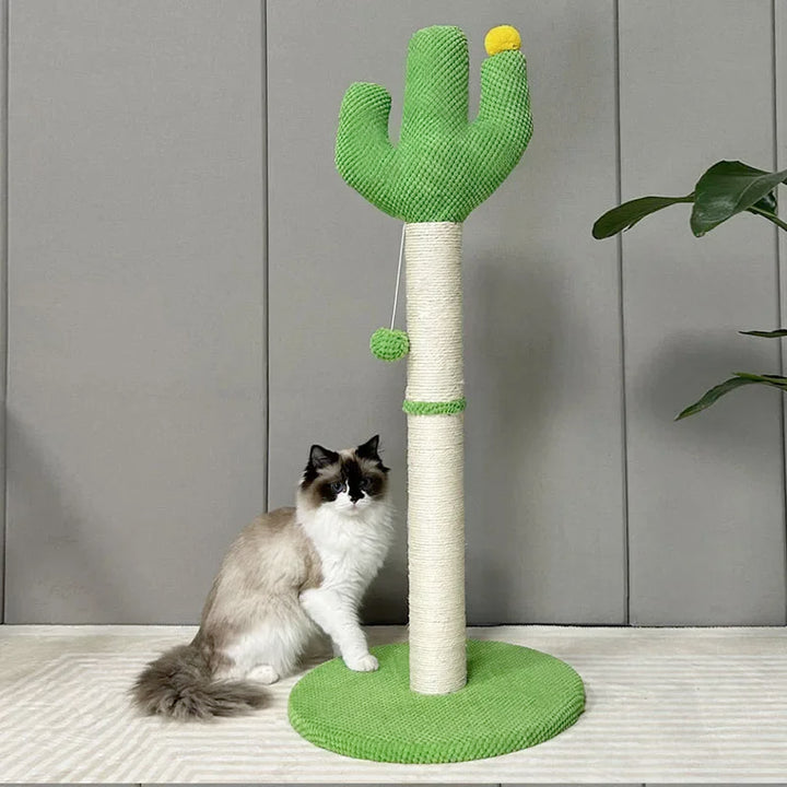 Katze wetzt Krallen am hohen Kaktus Kratzbaum mit Sisalstamm, gesundes Katzenzubehör & Spielvergnügen.