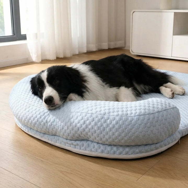 Kühlendes Schaumstoff-Tierbett mit Nackenrolle für Hunde. Sommerkomfort & Entspannung.