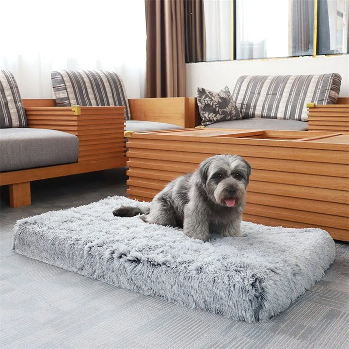 Premium Tierbett für maximalen Komfort: dicke Schaumstoffmatratze mit ultraweichem Plüschbezug.