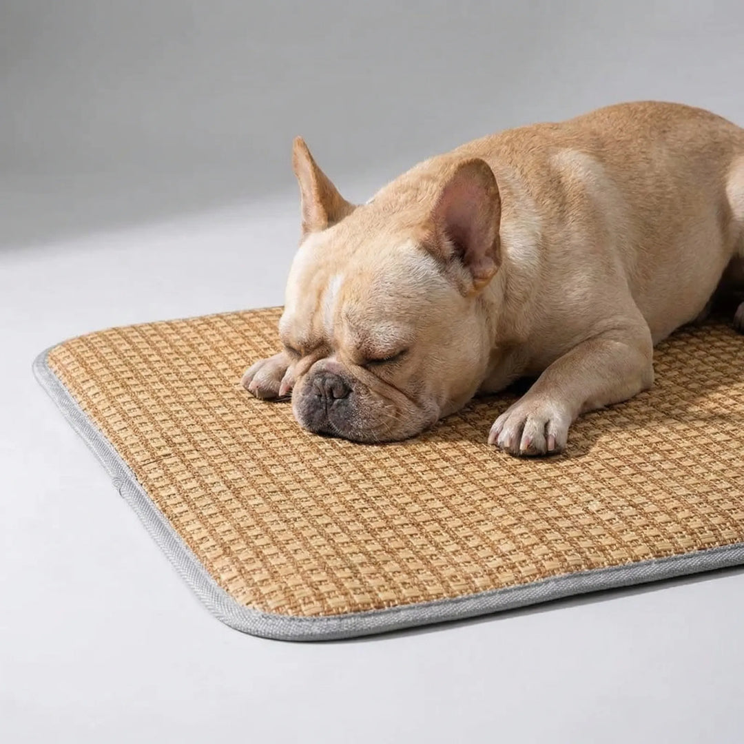 Kühlende Hundematte & Katzenmatte: Frostmatte aus Naturgeflecht für entspannte Vierbeiner im Sommer.