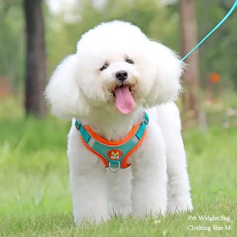 Reflektierendes Hundegeschirr und Katzengeschirr im Westenstil, orange. Perfekt für den sicheren Spaziergang kleiner Tiere.