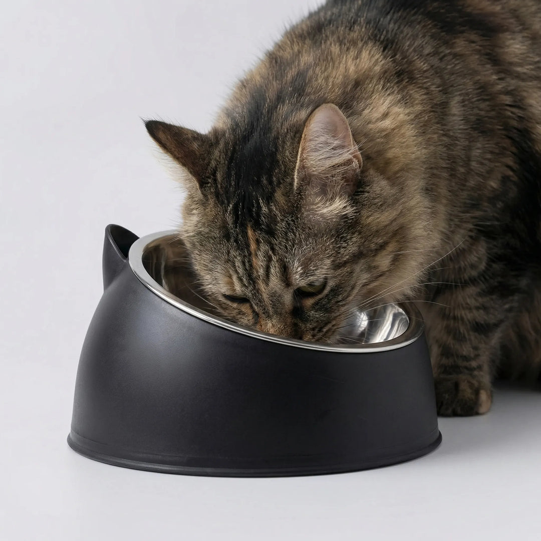 Bequemer, geneigter Katzenfutternapf mit Ohren für gesunde Haltung beim Fressen, ideal für Katze & Welpen.