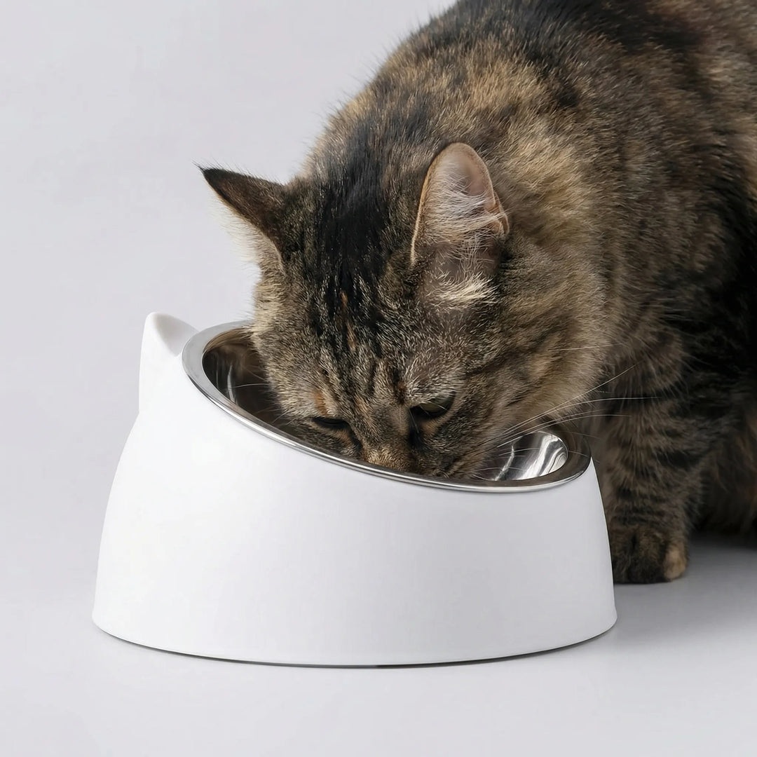 Niedlicher Katzenfutternapf mit Katzenohr-Design, geneigt & rutschfest, perfekt für Nass- oder Trockenfutter.