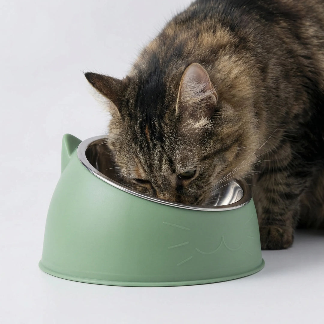 Rutschfester, geneigter Tiernapf mit Ohren, ergonomisch für kleine Hunde & Katzen, stabil beim Fressen.