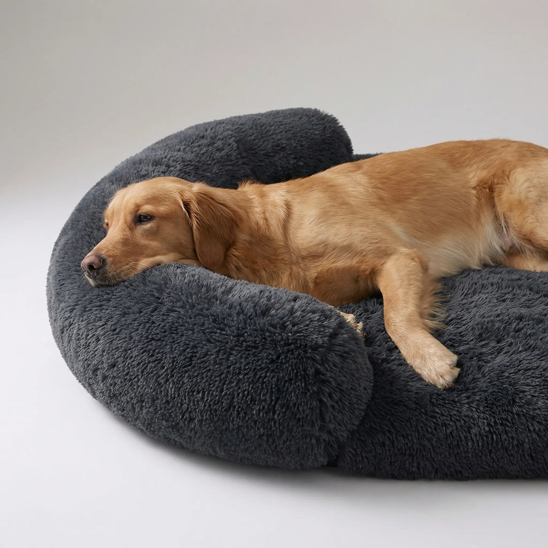 Kleines orthopädisches Hundebett mit Eierschaum, gemütlich und stützend für kleine Hunde und Welpen.