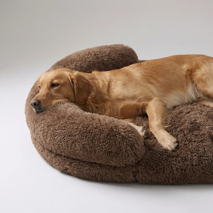 Orthopädisches Hundebett als Sofa, Eierschaum-Stütze, rutschfest, für höchsten Tierkomfort und Stil.