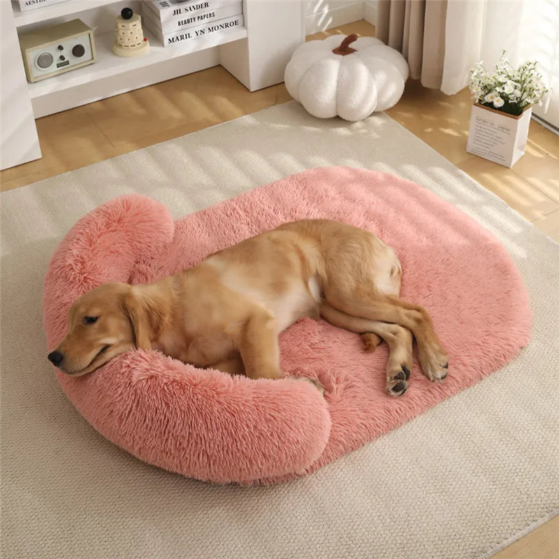 Praktisches, waschbares orthopädisches Hundebett mit Eierschaum-Stütze und rutschfester Unterseite.