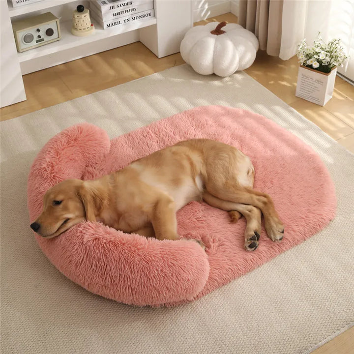 Praktisches, waschbares orthopädisches Hundebett mit Eierschaum-Stütze und rutschfester Unterseite.