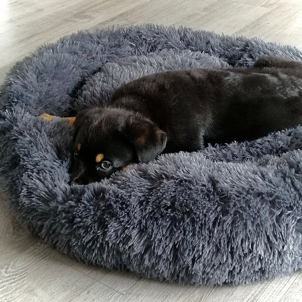 Orthopädisches Hundebett Wolke 7 für Gelenkschonung. Waschbares Donutbett für Hygiene & Haustierkomfort.