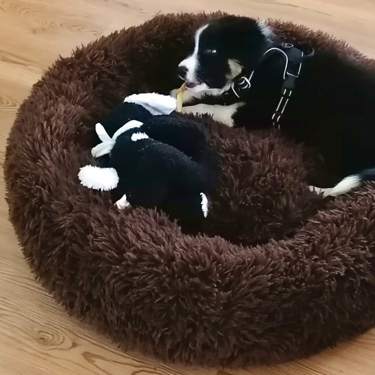Gelenkschonendes Tierbett Wolke 7. Orthopädisches Donutbett für Hunde, Katzen & andere Haustiere.