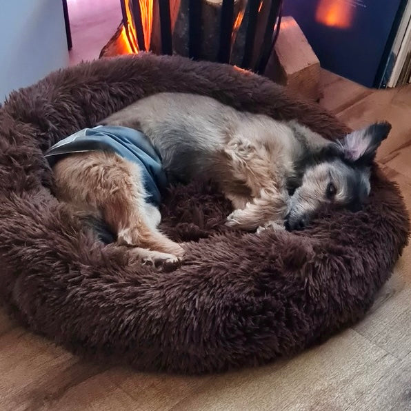 Beruhigendes Hundebett Wolke 7 zur Angstreduktion. Flauschiges Kuschelbett für tiefenentspannten Schlaf.