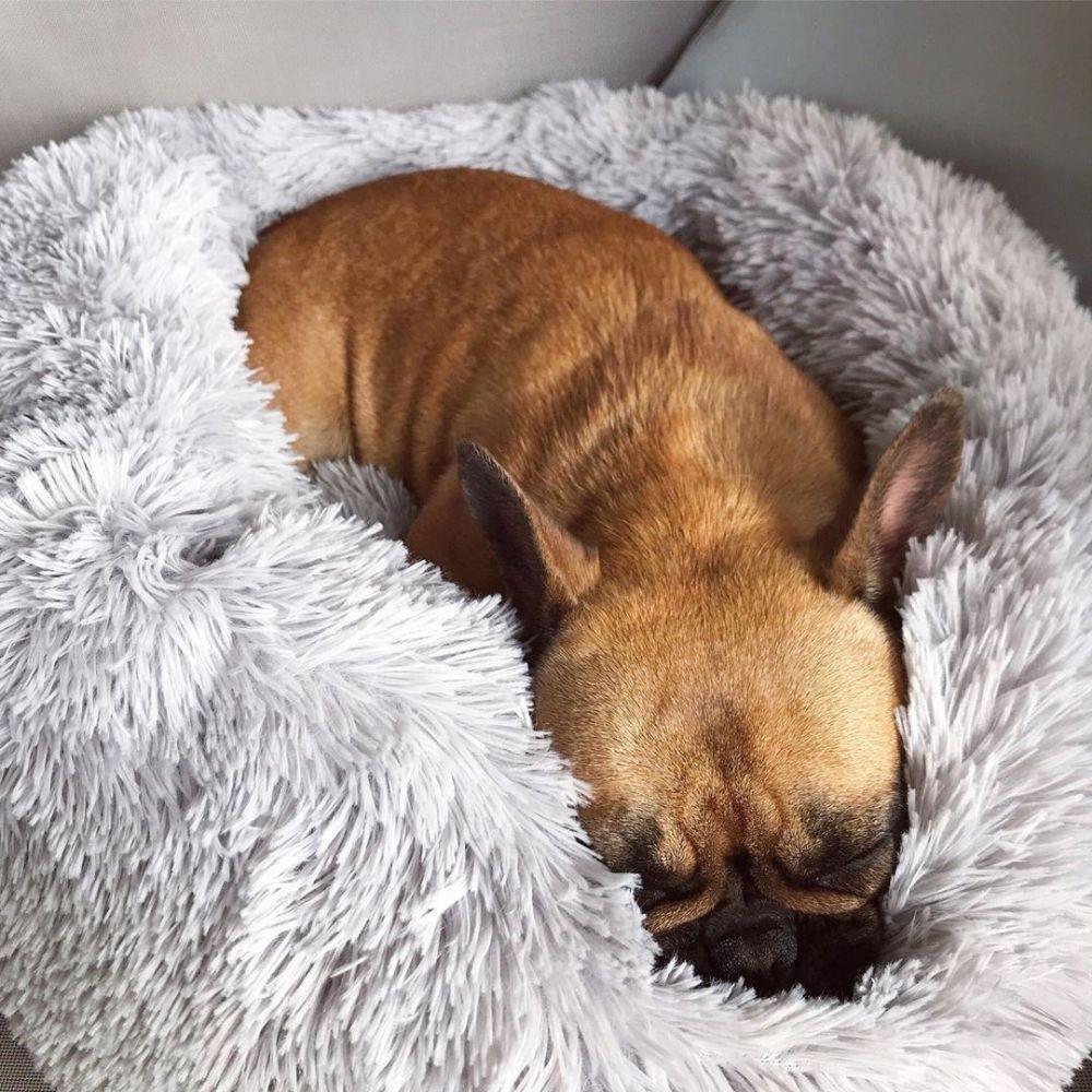 Flauschiges Hundebett Wolke 7 Donutbett für maximalen Kuschelkomfort, stressabbauend und gelenkfreundlich.