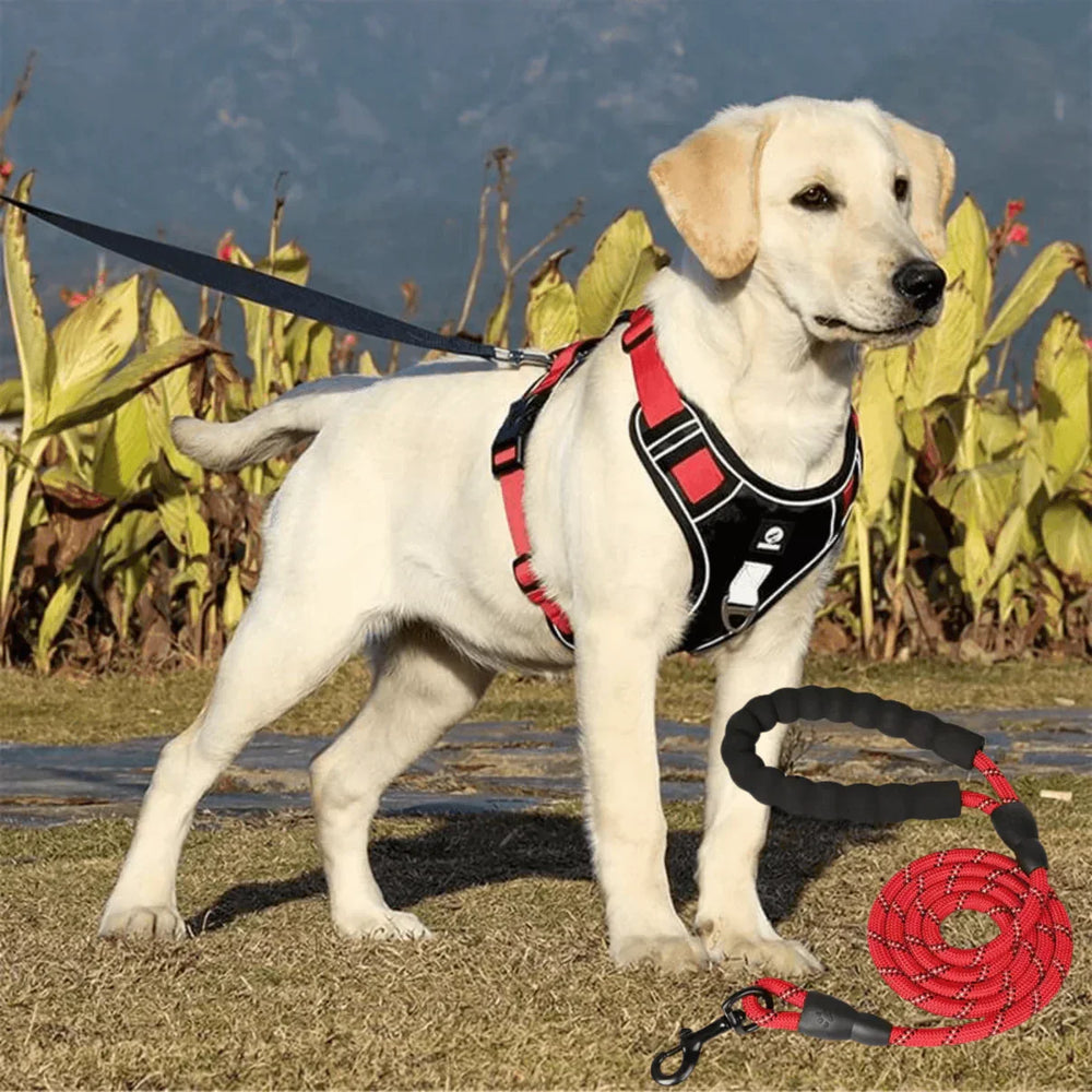 Effektives Anti-Zieh Hundegeschirr, gepolstert, für mehr Kontrolle und Sicherheit beim Spaziergang. PullFree.