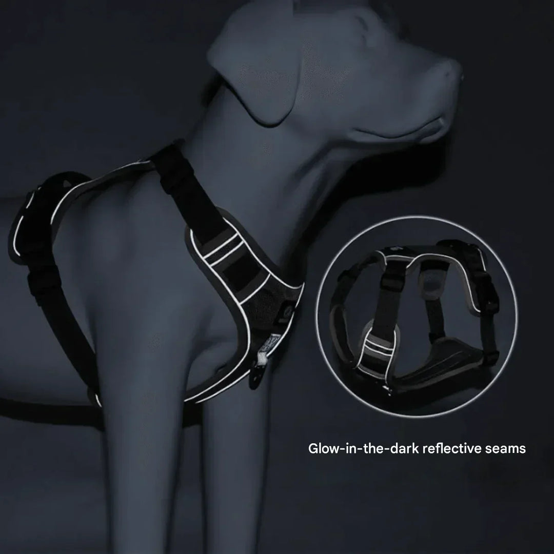 Ergonomisches Anti-Zieh Hundegeschirr, gepolstert, für einen ziehfreien und angenehmen Spaziergang mit Ihrem Hund.