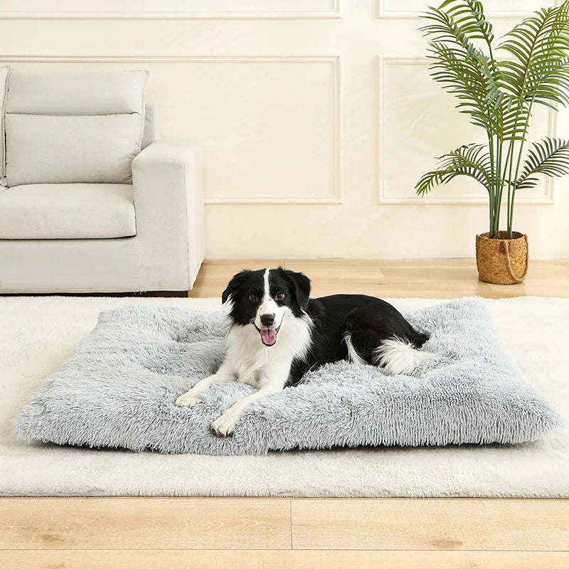 Plüsch-Hundebett für Geborgenheit & tiefen Schlaf. Kuschelig, weich und waschbar. Rutschfester Haustierschlafplatz.