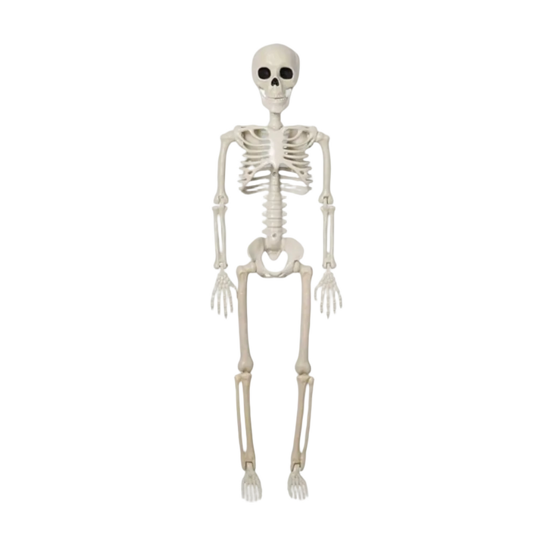 Animiertes weißes Halloween Skelett, beweglich, 40cm, ideal als gruselige Innendeko oder Partydekoration.
