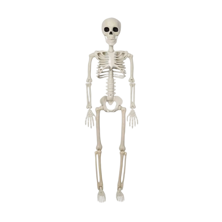 Animiertes weißes Halloween Skelett, beweglich, 40cm, ideal als gruselige Innendeko oder Partydekoration.