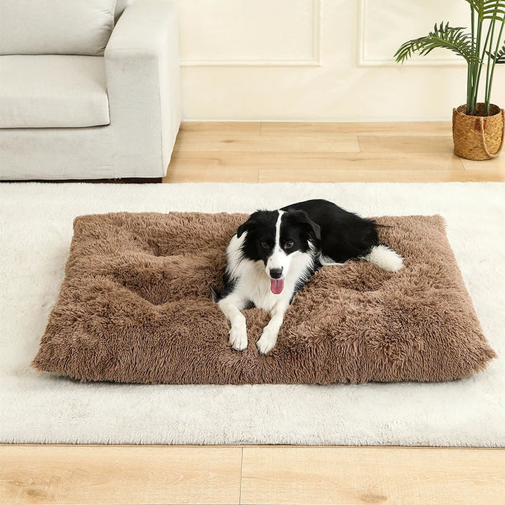 Pflegeleichtes Plüsch-Hundebett. Waschbar & rutschfest. Bietet Hunden & Katzen einen gemütlichen Schlafplatz.