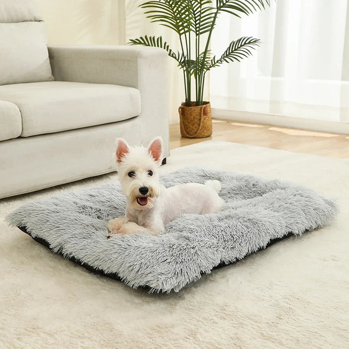 Kuscheliges Plüsch-Hundebett für tiefen Schlaf. Rutschfester Boden, waschbar. Perfekt für den Tierkomfort.